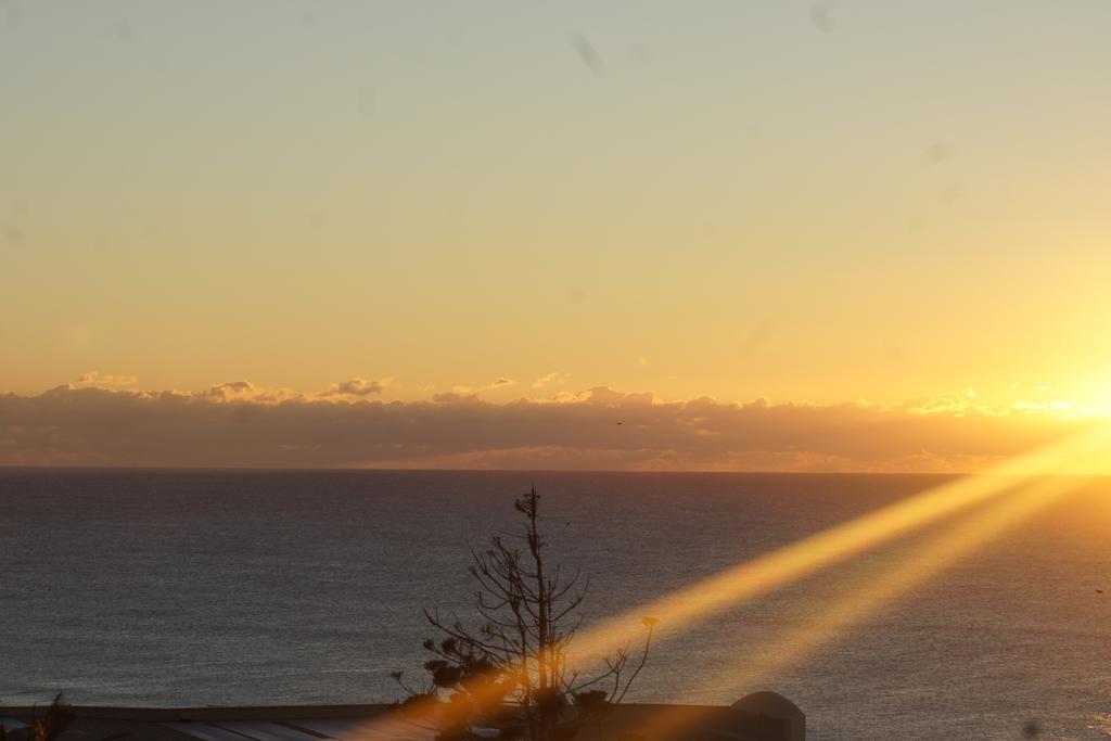 Parkshores Sunshine Beach Noosa Holiday Apartments Bagian luar foto